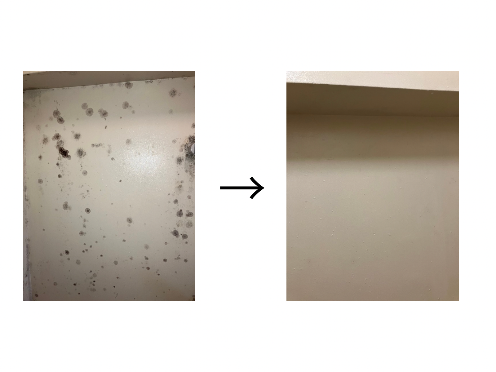 壁面のカビの黒い汚れをプロの洗剤を使ってきれいに落としました
