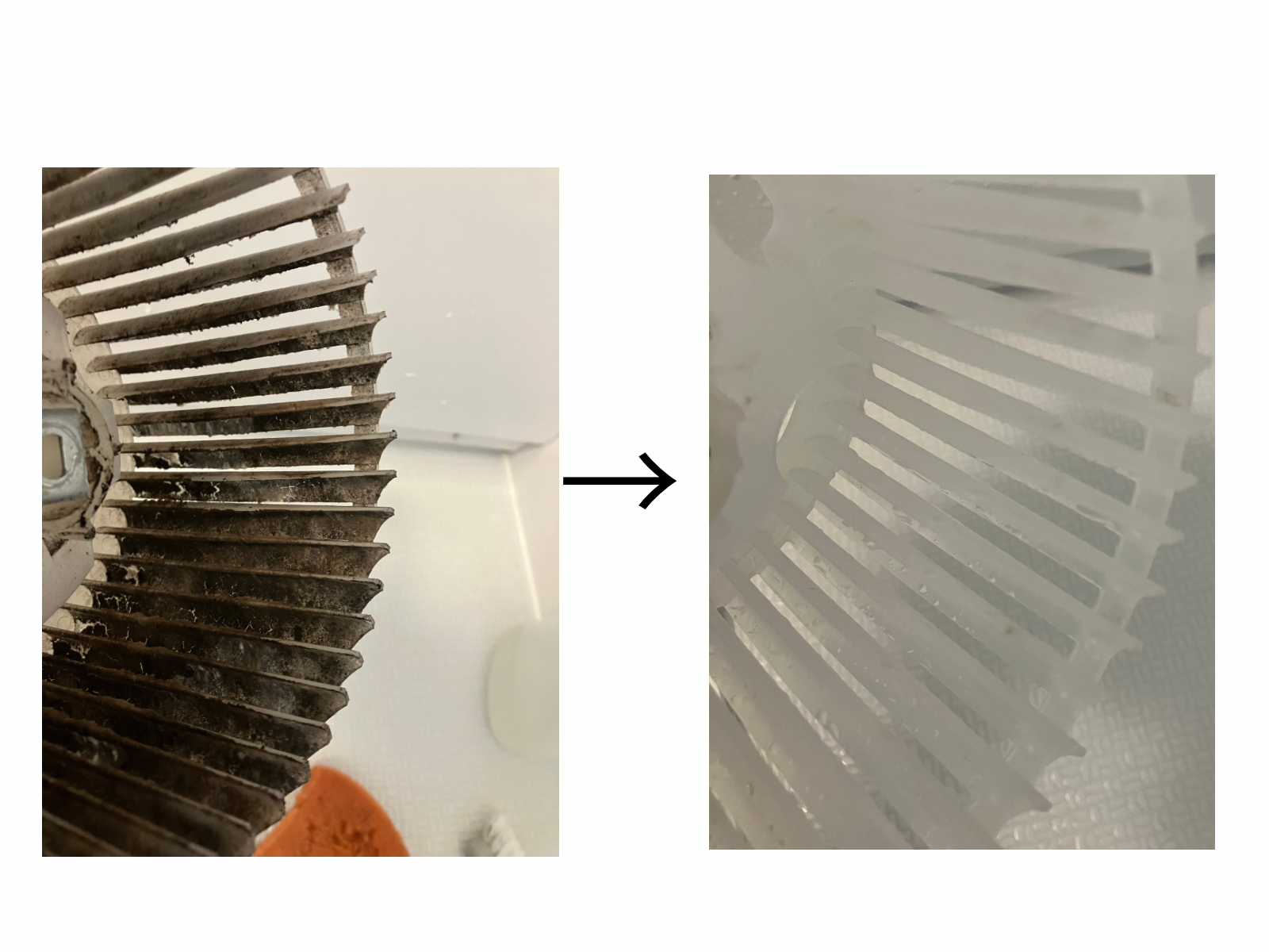 浴室換気扇のファンのカビ汚れと洗浄後のビフォーアフター