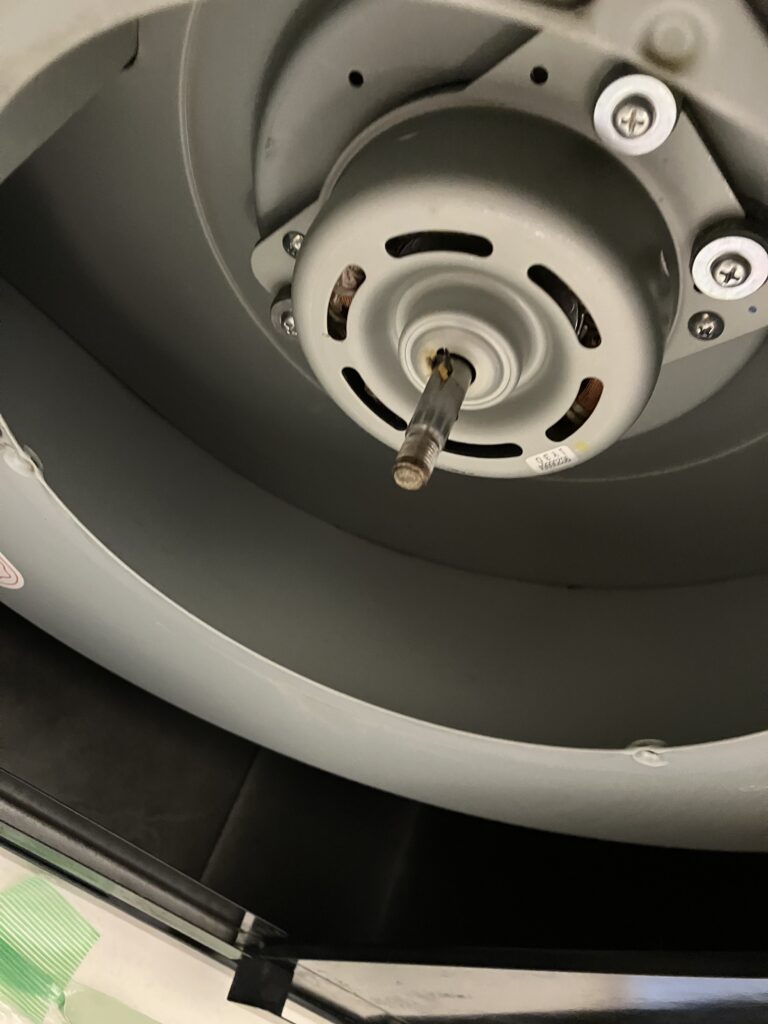 換気扇内部をきれいにふき取った写真