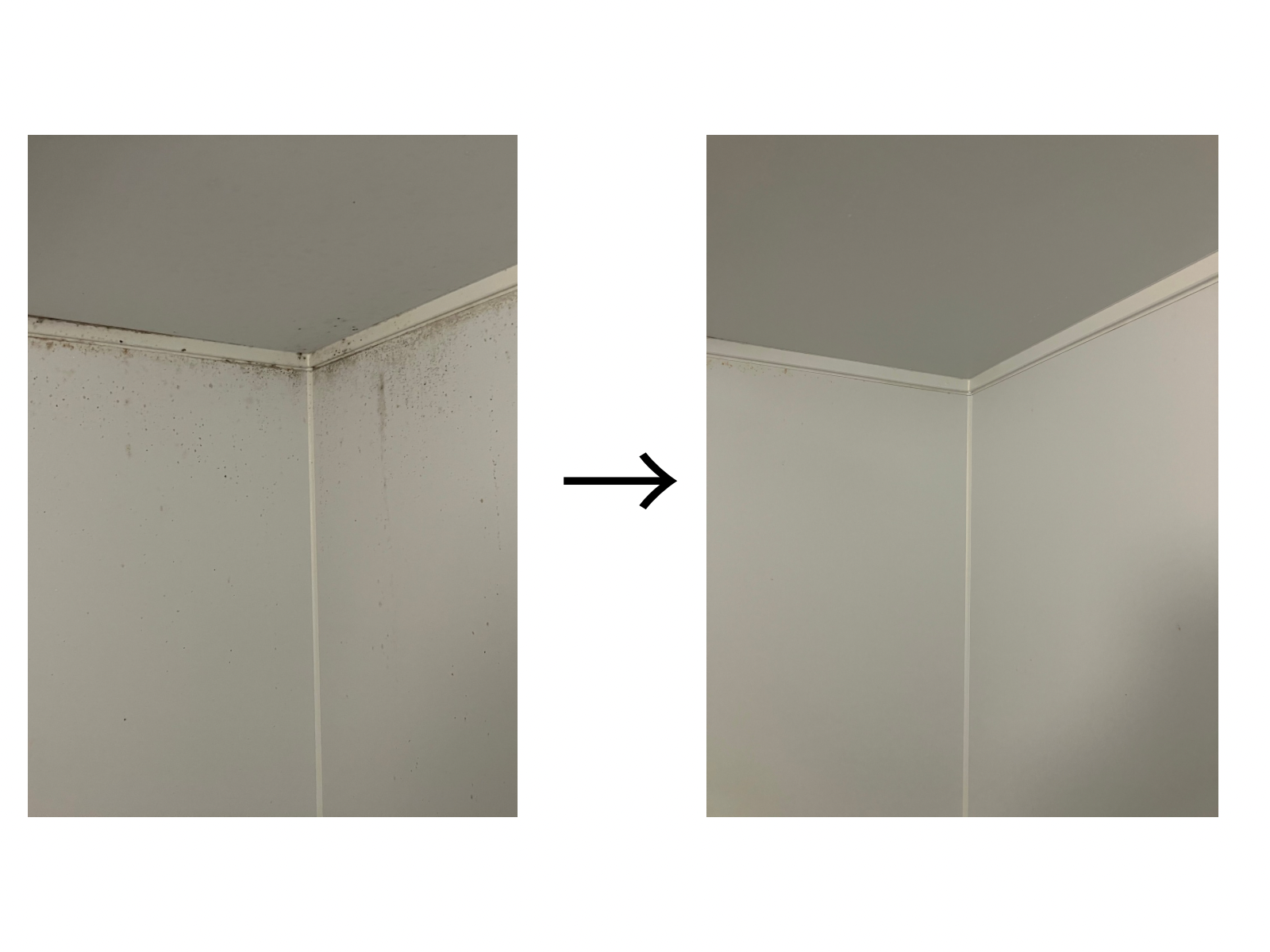 浴室壁面のカビ汚れと、専用洗剤できれいになった写真