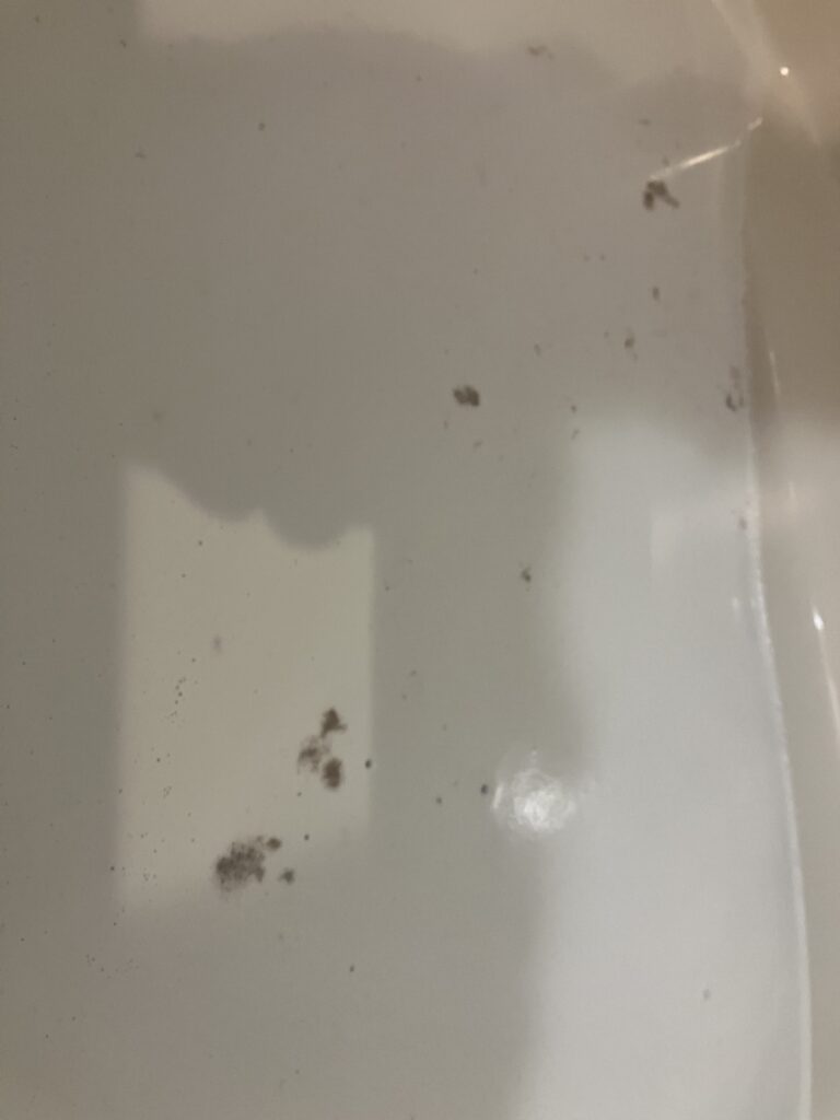 風呂釜配管洗浄時に浮き出た汚れ。