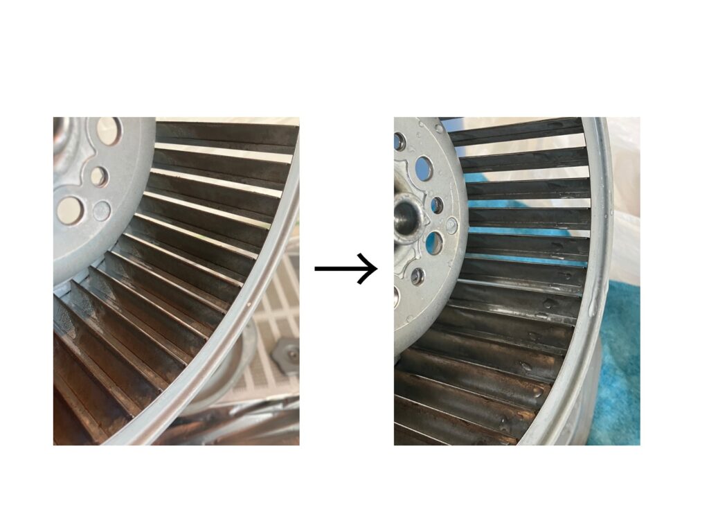レンジフード内部のシロッコファンに付着した油汚れを分解洗浄し、清掃前後を比較した写真（杉並区・換気扇クリーニング）