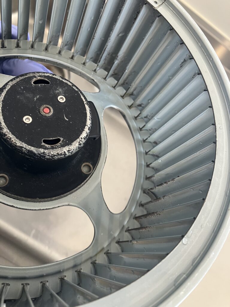 付け置き洗浄で油汚れを落とした、換気扇のファンの写真。